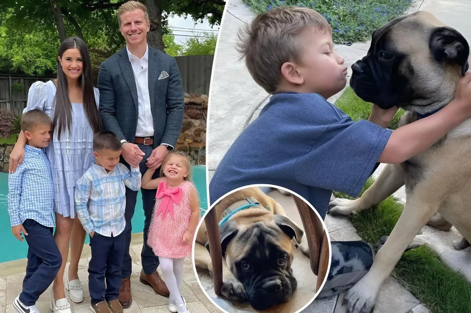 Sean Lowe Reveals What Happened To Vicious Family Dog