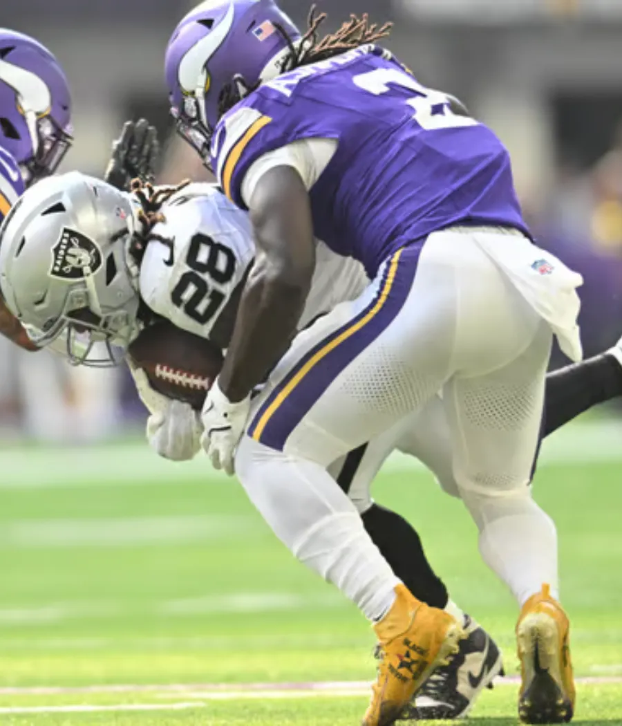 The Vikings Have a Sneaky Wildcard Defender