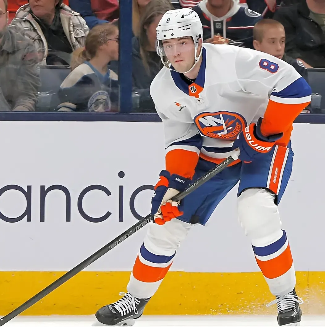 Detroit Red Wings Linked to New York Islanders Defenseman