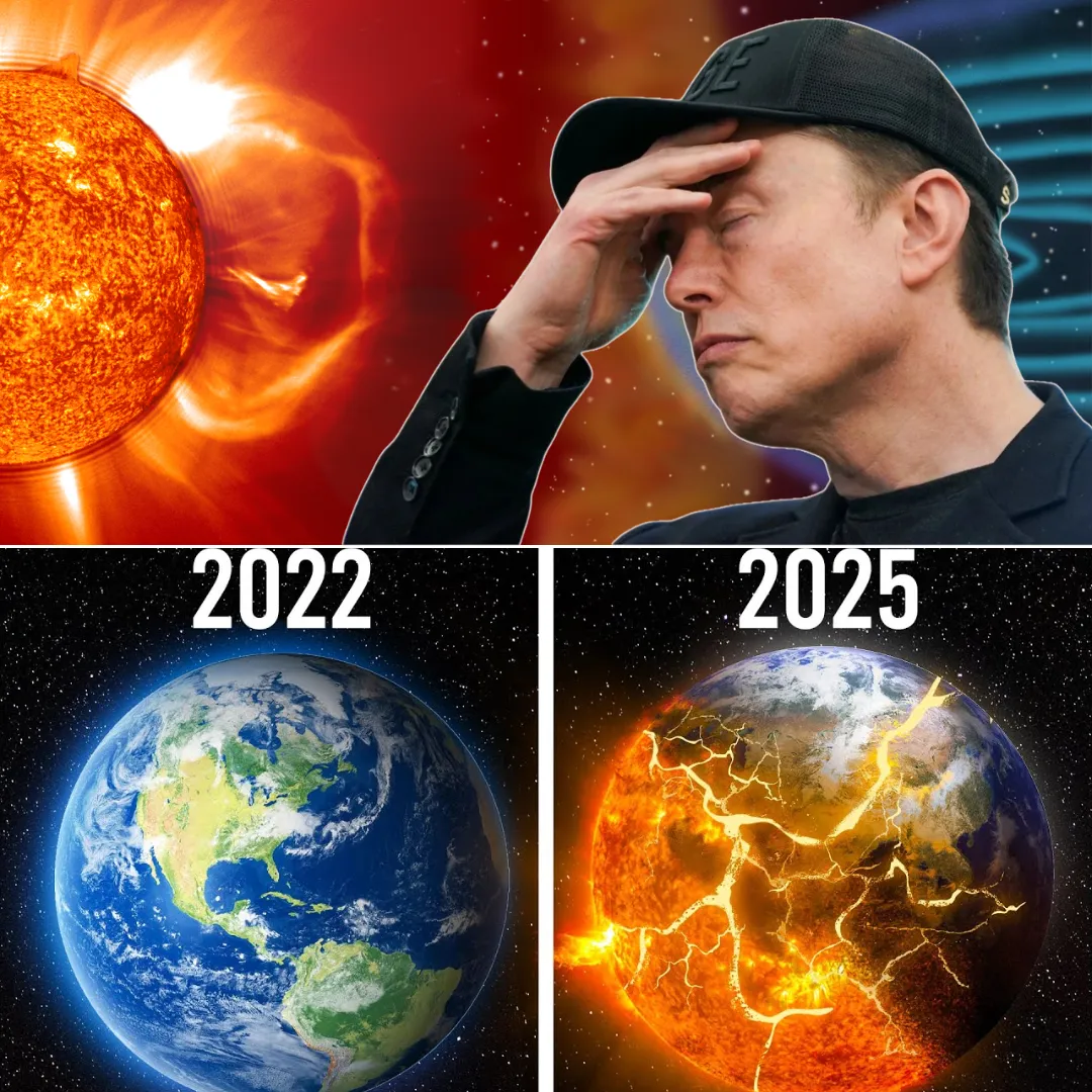 Elon Musk Cautions That the Sun Will Eventually Annihilate All Life on Earth