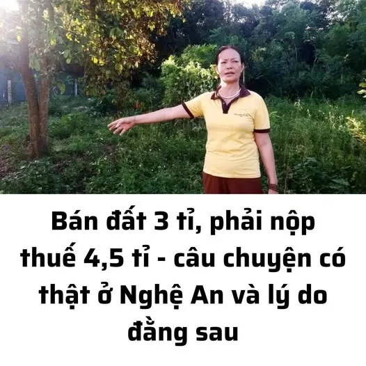 Bán đất 3 t phải nộp thuế 4 phẩy 5 tỉ  câu chuyện có thật ở Nghệ An và lý do đằng sau