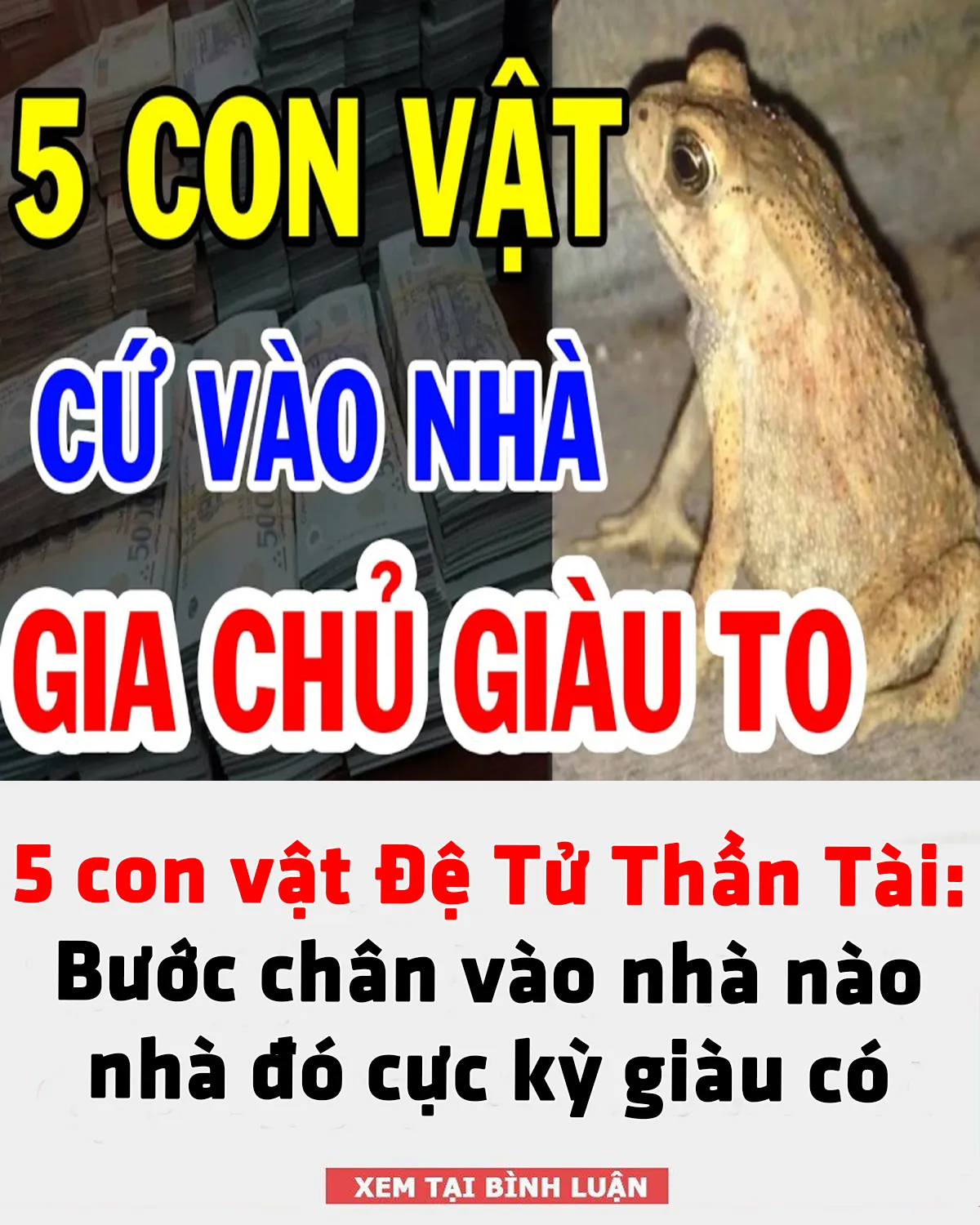 5 con vật Đệ Tử Thần Tài: Bước chân vào nhà nào nhà đó cực kỳ giàu có