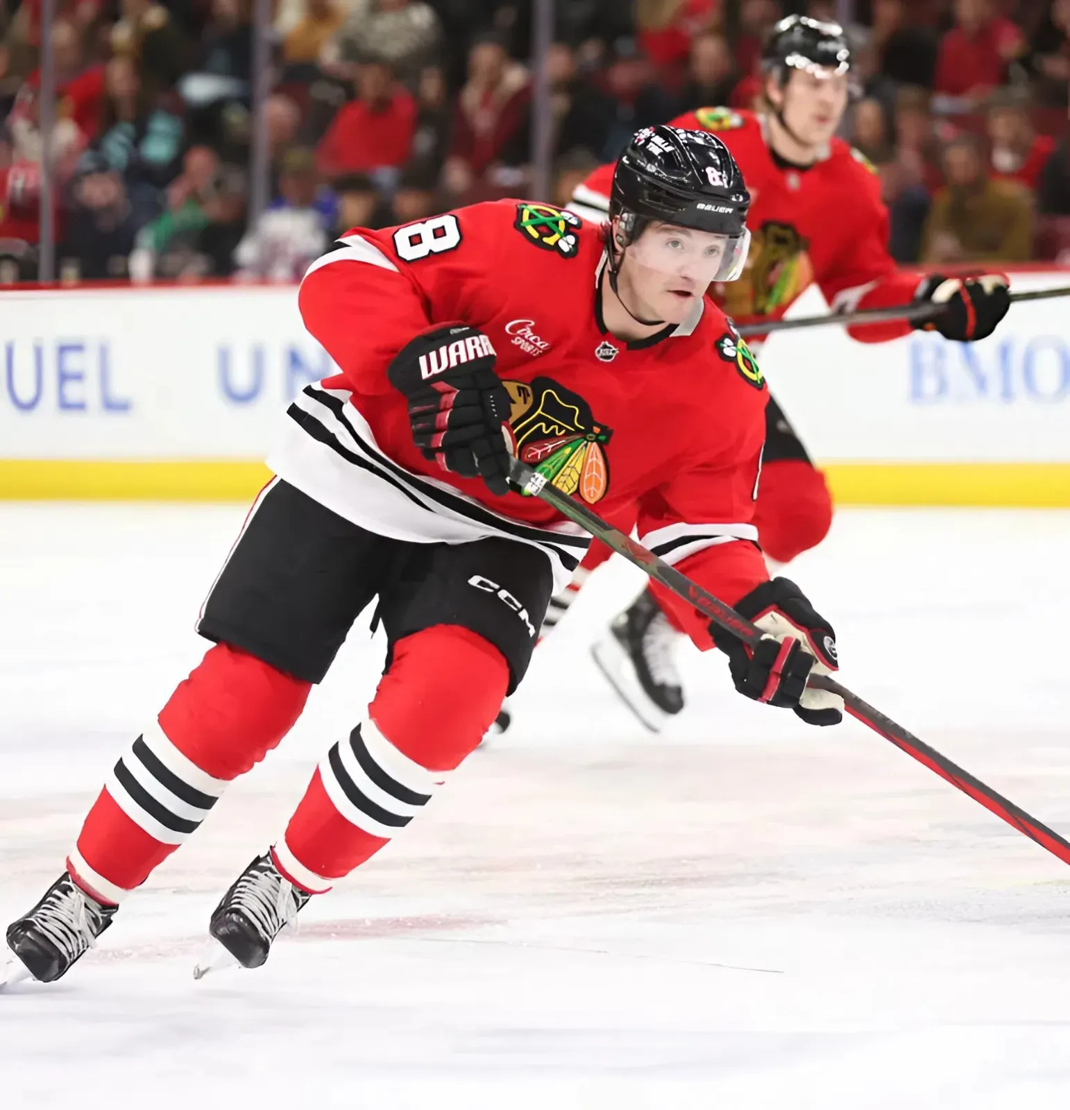 “I Love Chicago”: Ryan Donato Always Wanted To Stay With Blackhawks