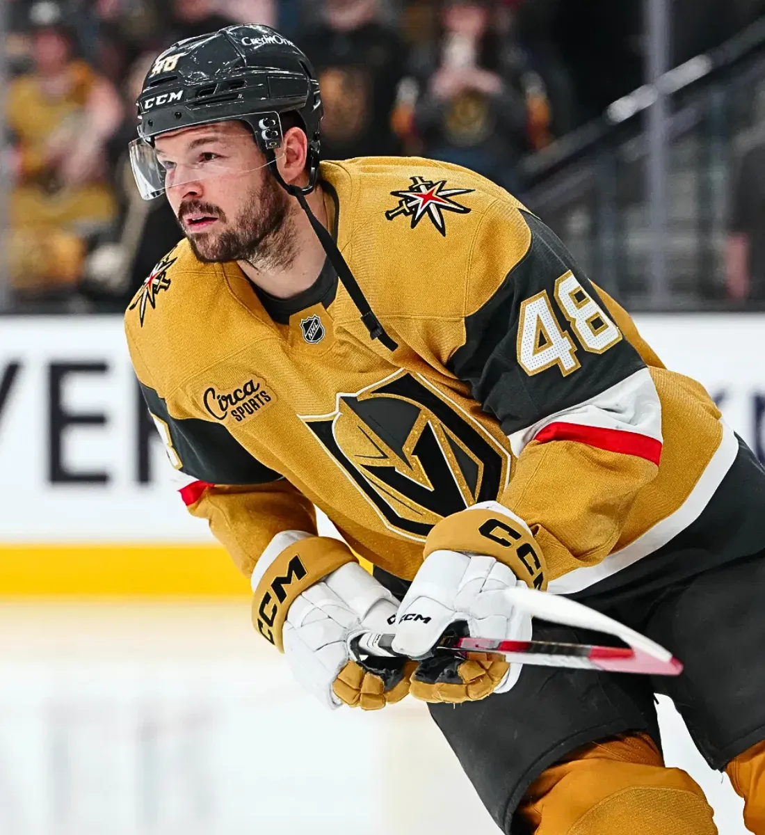REPORT: 'Smoke' Surrounding Possible Golden Knights and Hurricanes Trade Involving Tomas Hertl