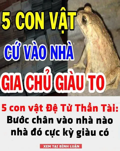 5 con vật Đệ Tử Thần Tài: Bước chân vào nhà nào nhà đó cực kỳ giàu có