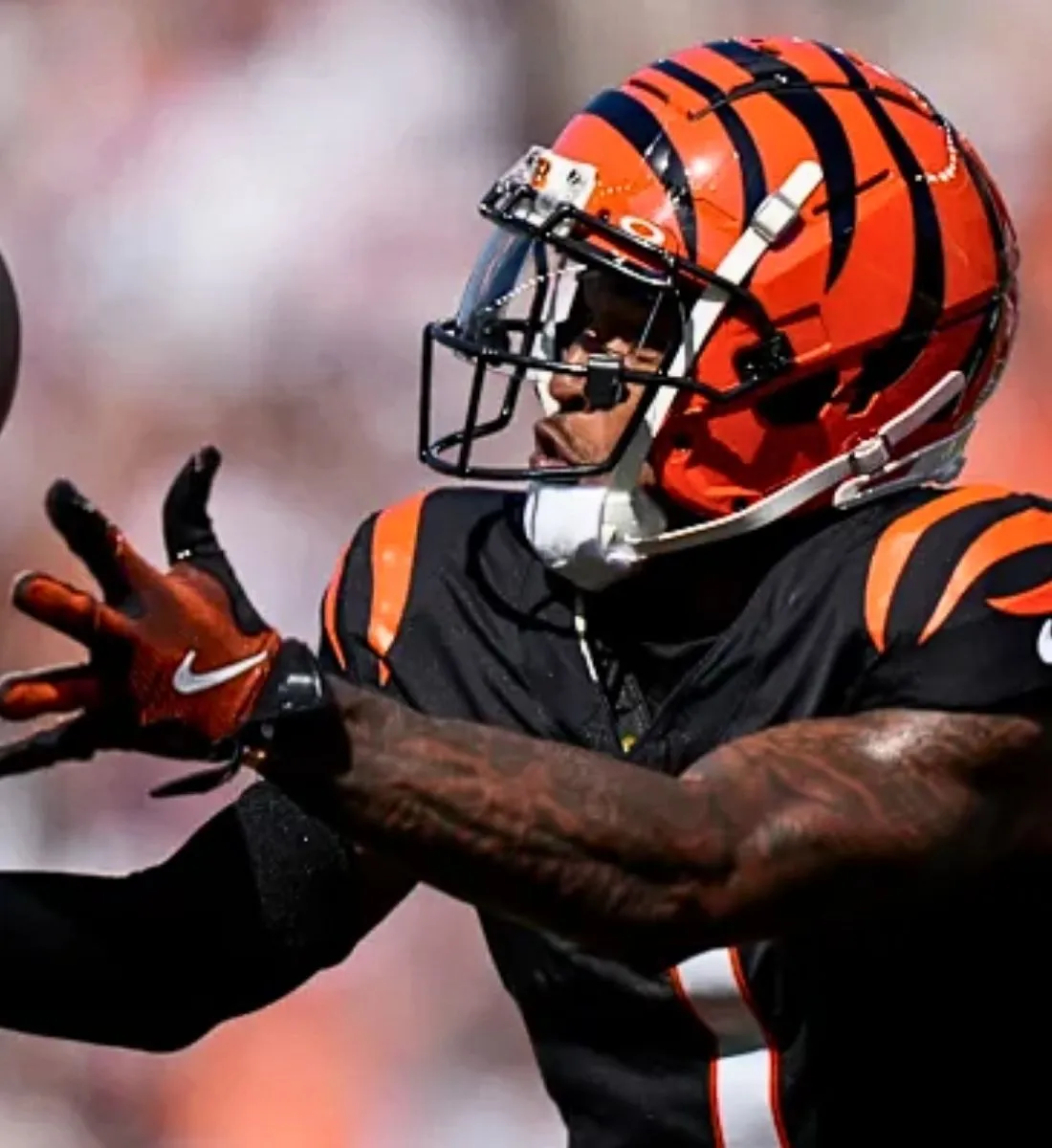 Bengals Could Leave Cincinnati? Bengals Could Leave Cincinnati?