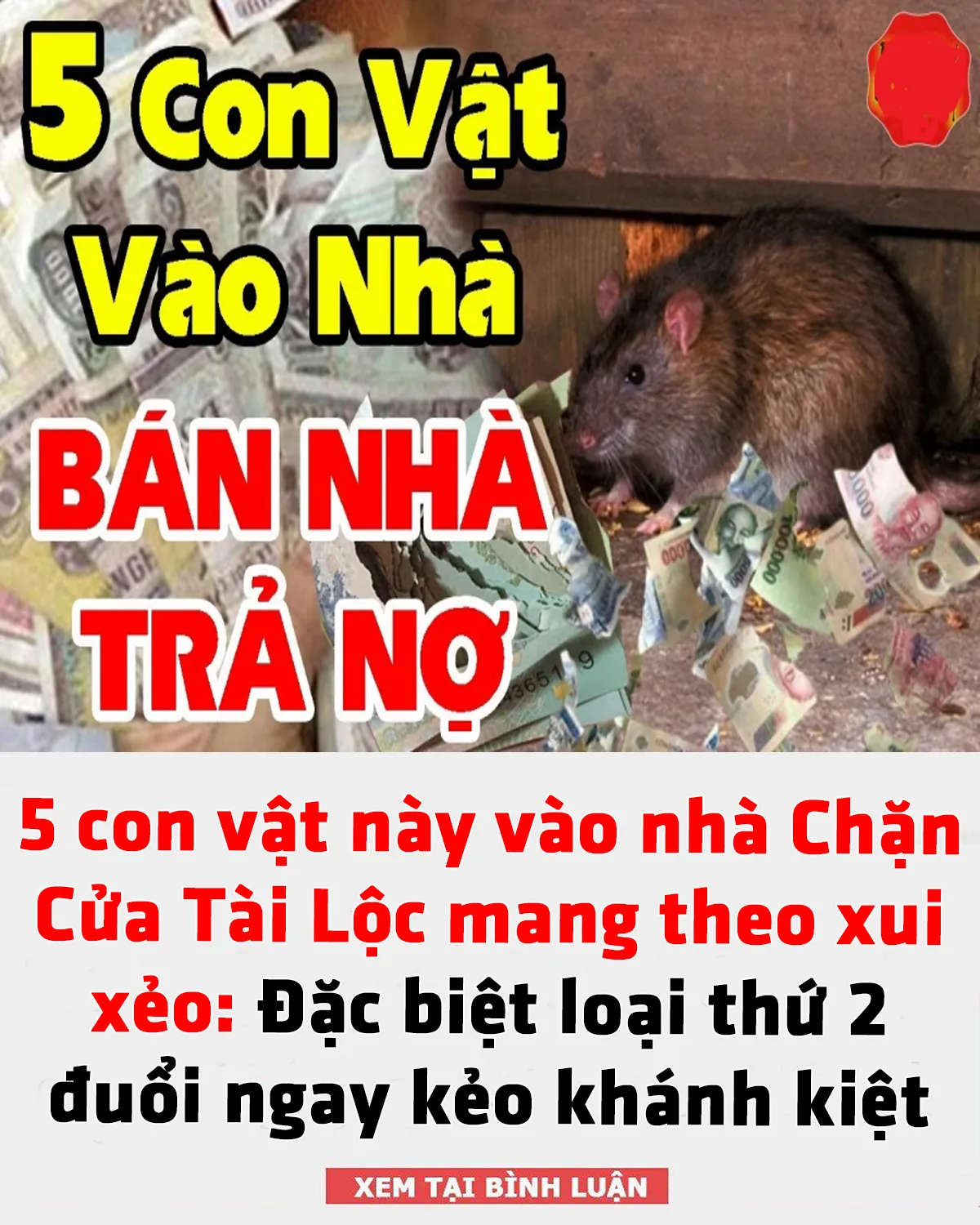 5 con vật này vào nhà Chặn Cửa Tài Lộc mang theo xui xẻo: Đặc biệt loại thứ 2 đuổi ngay kẻo khánh kiệt