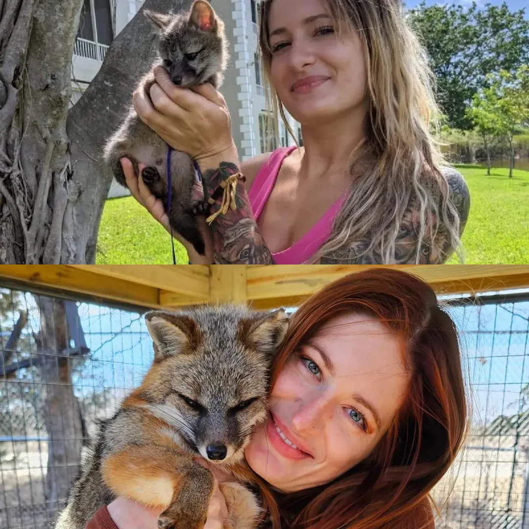 Animal Activist Who Dedicated Her Life to Rescue Passes Away After Enduring Harsh Online Attacks