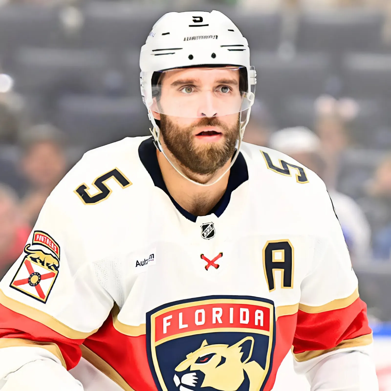 Signing Aaron Ekblad Would Spur Jiricek’s Development