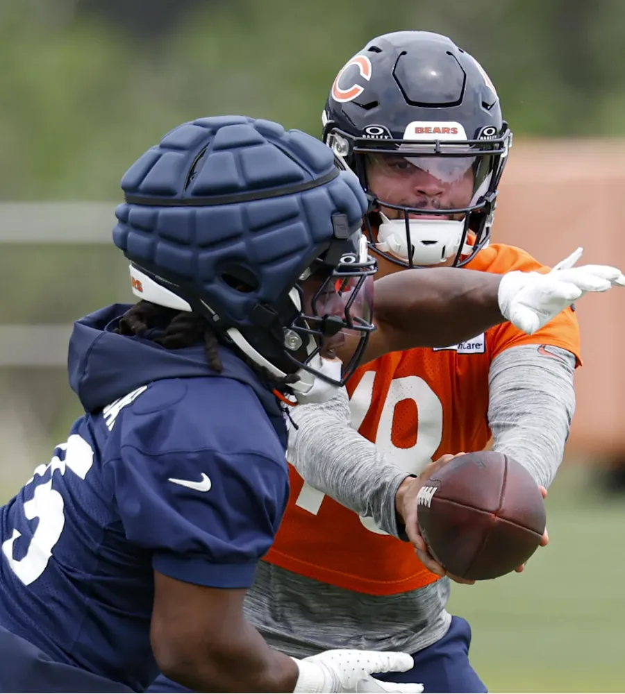 Can Bears veterans lead the youth movement into a division title?