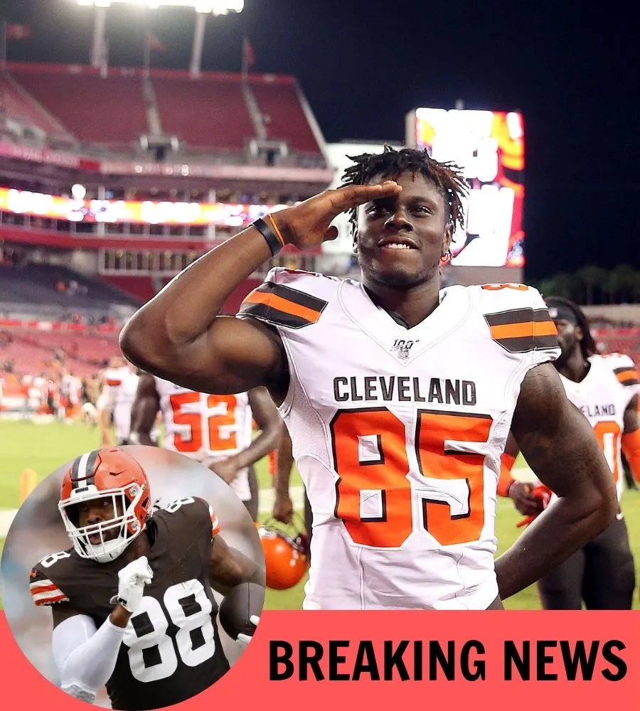 Broncos Urged to Add More TE Depth With $10 Million AFC North Vet