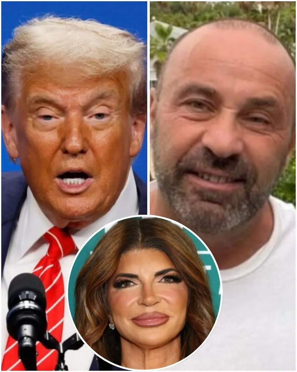 RHONJ’s Joe Giudice Asks President Trump for a Pardon After Deportation for Crimes as Ex Teresa and Daughters Show Support, Plus Siggy Flicker Hints She’s Working on Case