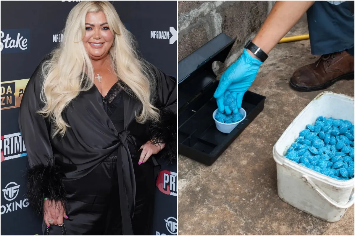 ‘Terrified’ Gemma Collins sent rat poison and bizarre note in the post as she ups security at her Essex hom... ngocc