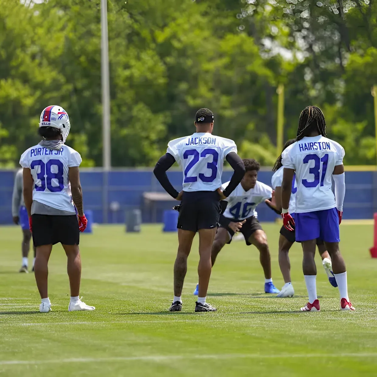 Two Bills' offseason additions offer 'high-end potential' to needy defense