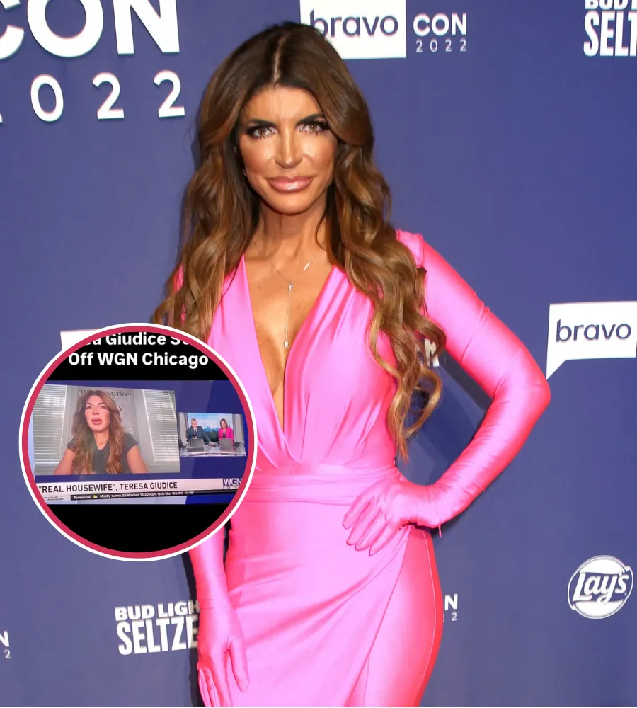 Teresa Giudice Ditches Interview After News Anchor Asks, ‘How Is It That a Family Doesn’t Pay Their Taxes for Years?’