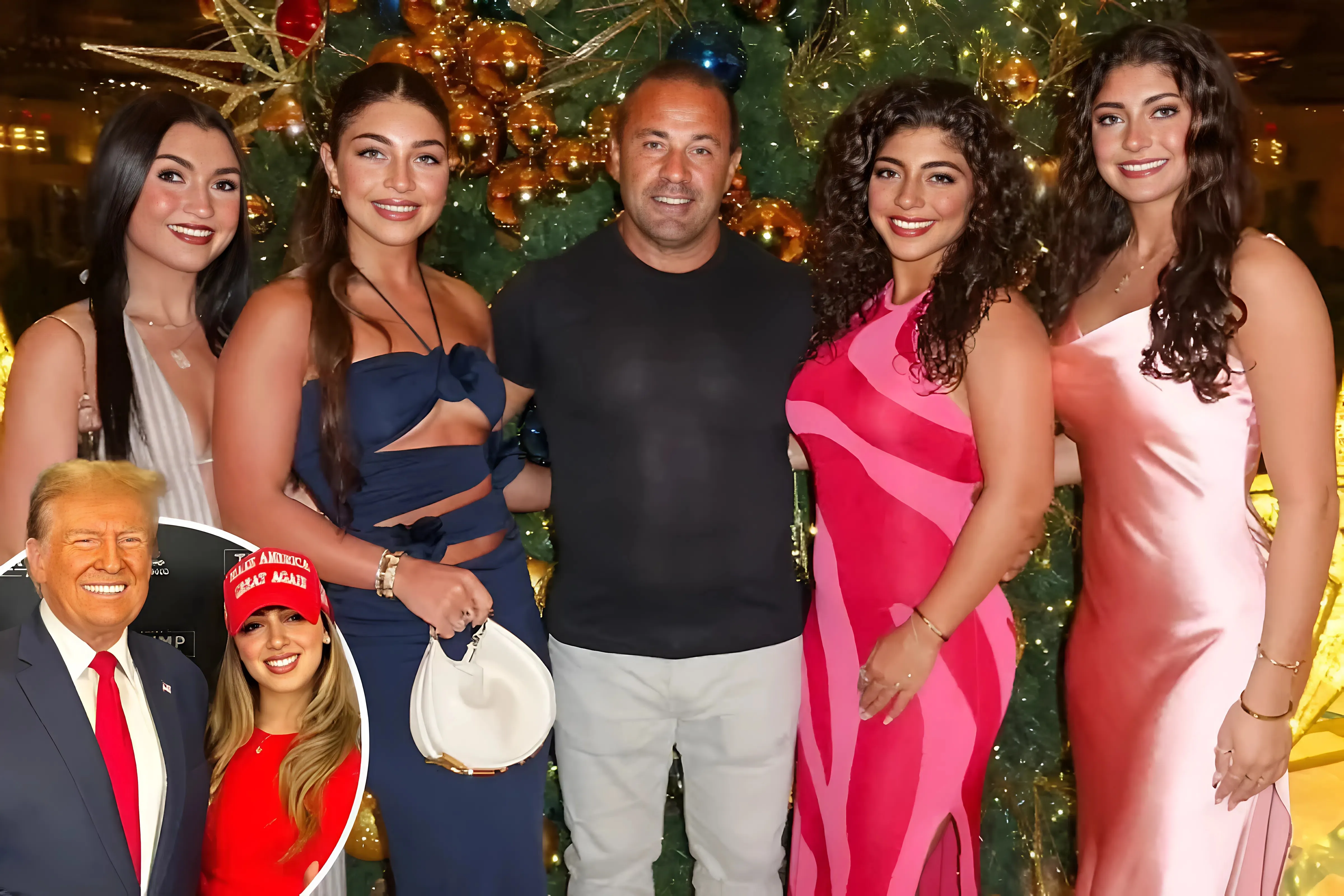 Teresa Giudice’s ex Joe makes desperate bid to be allowed back in US after deportation & hope comes from unlikely source