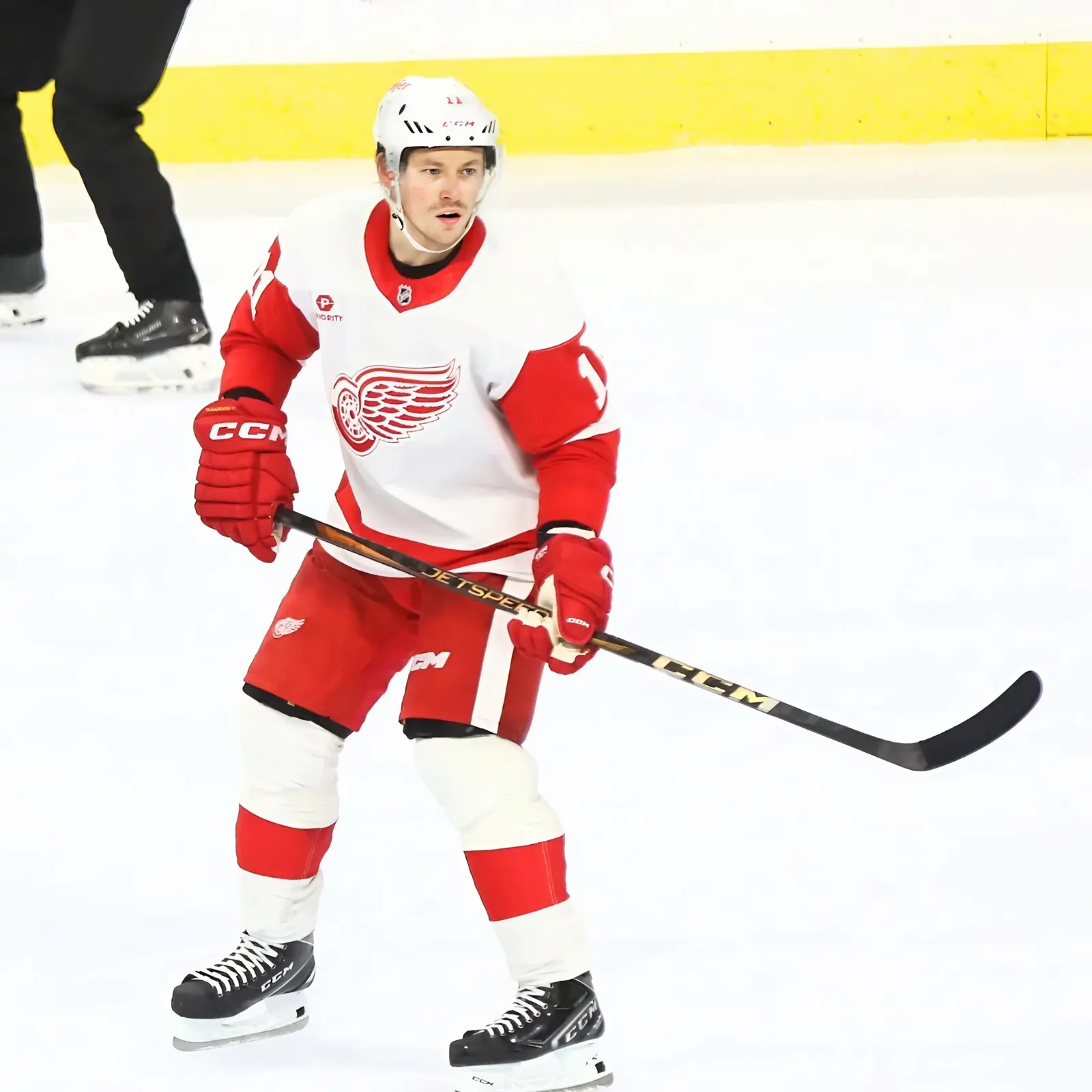 Wild acquire former first-round pick from Red Wings