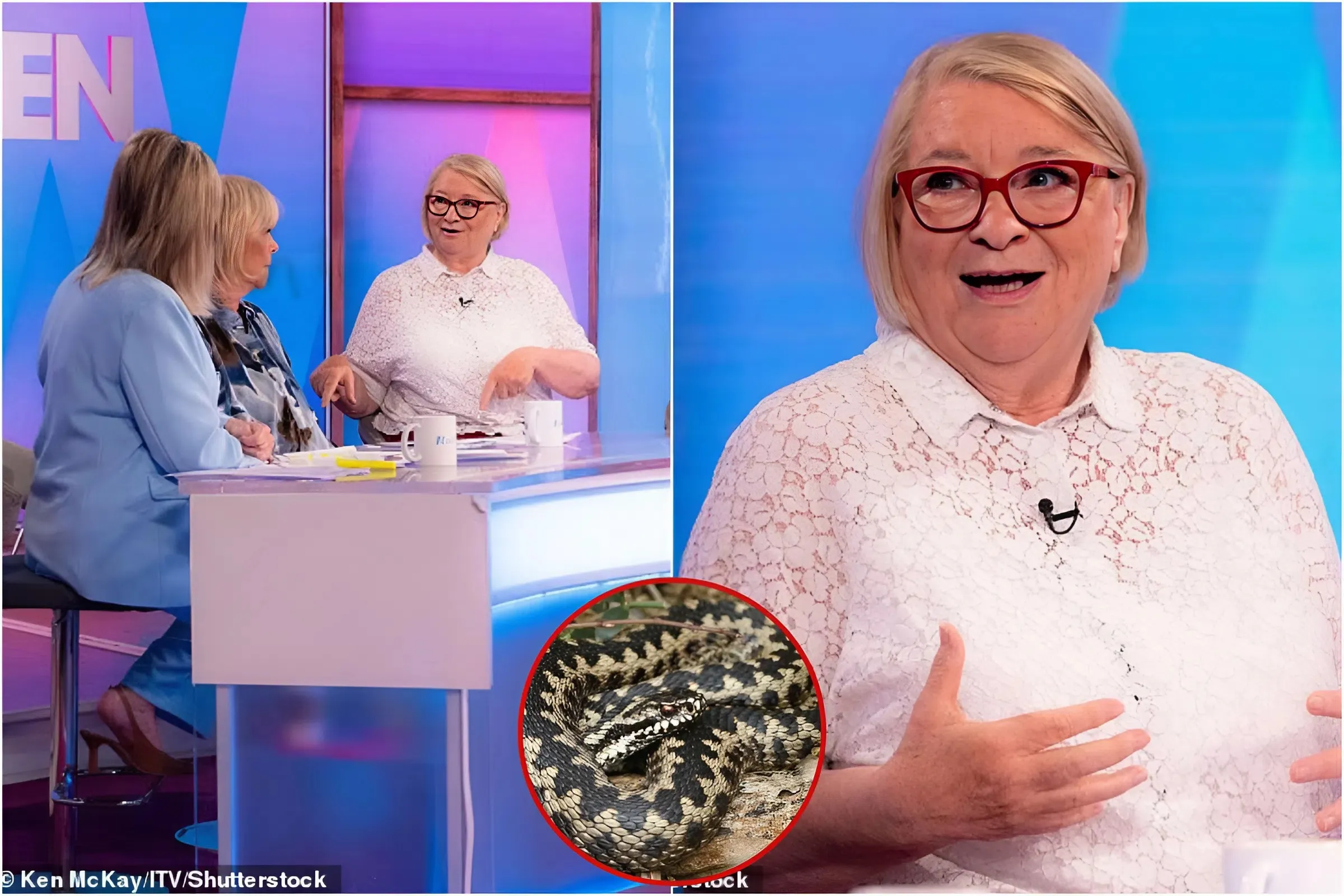 Rosemary Shrager Bitten by Adder After Bush Fall During 'Foolhardy' 450-Mile Bike Ride – Leg Left 'Black and Yellow' with Venom trucc
