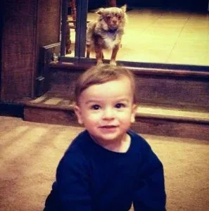 S1. These Photos Would Make You Laugh (26 pics)
