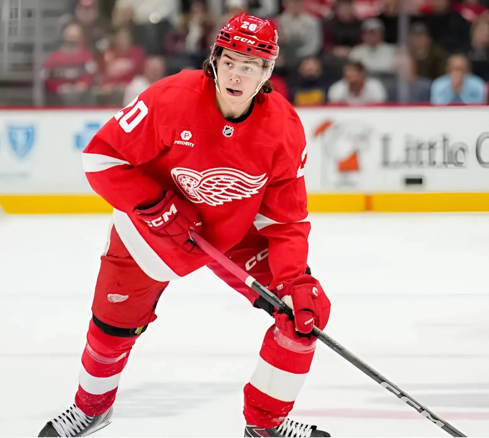 Red Wings’ new contracts for Berggren and Johansson come with serious pressure