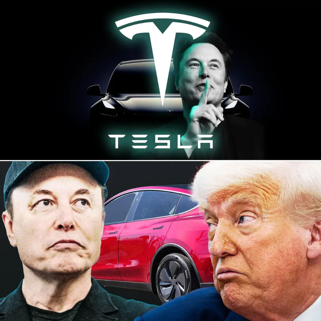 Musk Loses $12,000,000,000 USD After Trump Threatens To Cut His Government Subsidies