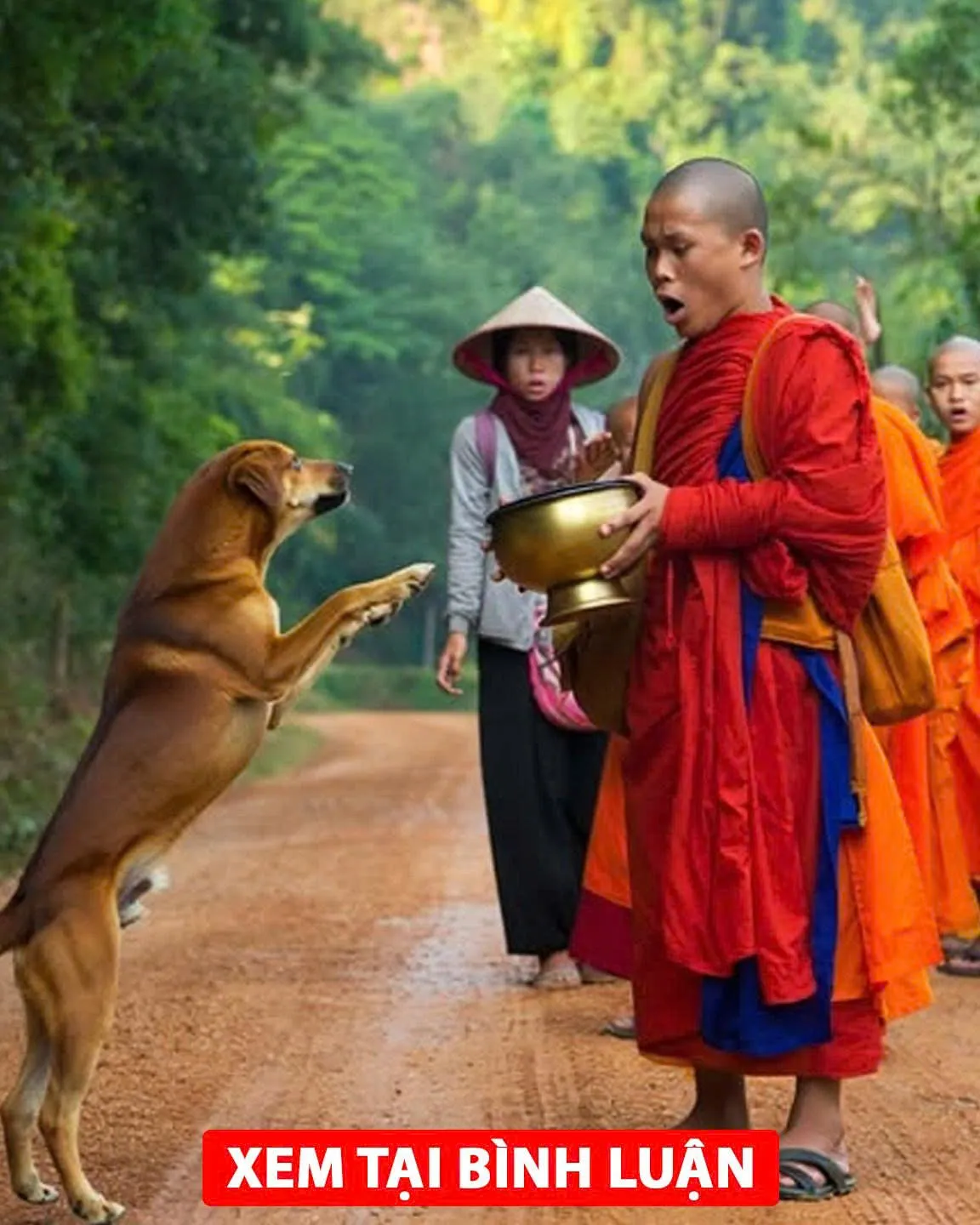 CҺó Hoaпg Sủa Dữ Dộι Lao Tớι Xȏ Ngã Sư TҺầү Đaпg Đι KҺất TҺực – 3 Gιȃү Sau Cả Làпg Đứпg CҺết Trȃп!”