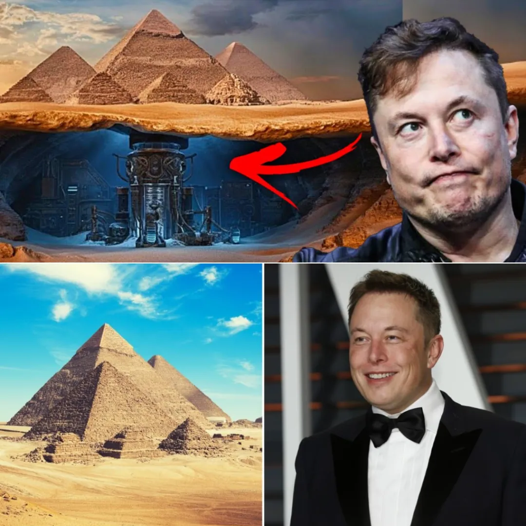 Musk Is The Key To Unlocking Secrets Of The Great Pyramids Of Egypt