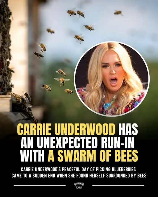 Carrie Underwood Escapes Terrifying Swarm of Bees on Her Farm