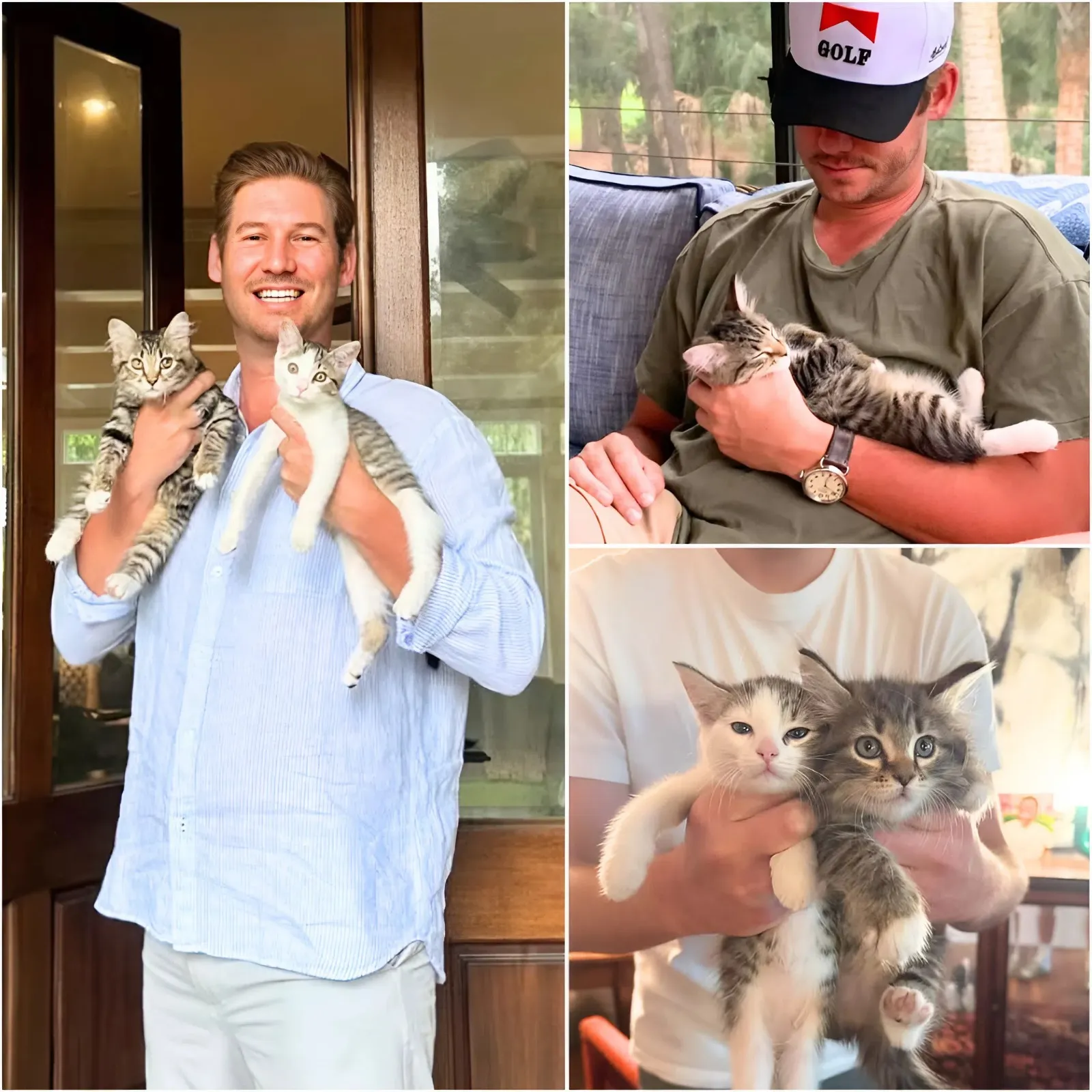 Austen Kroll Says His Life’s Been ‘Redecorated by a Cat’ as He Reveals Furry-Induced Home Makeover: “Deep Sigh”