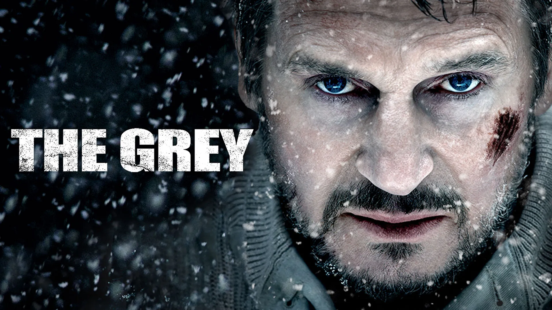 The Grey (2011)