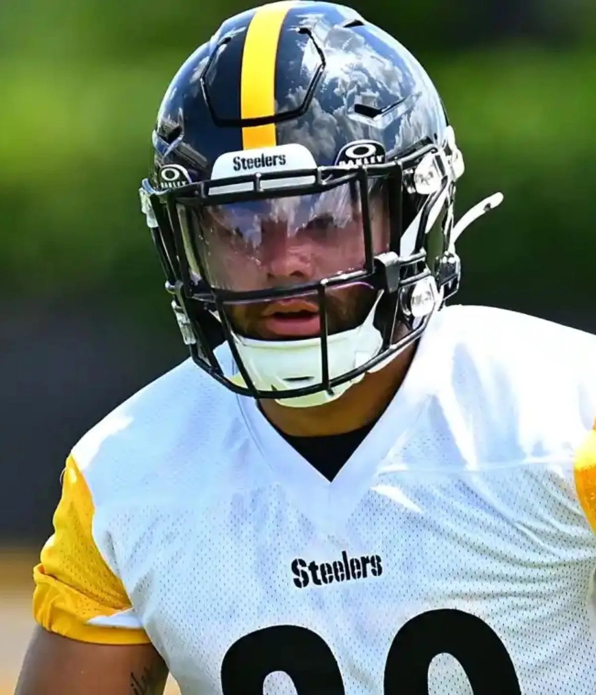 Outlet’s Fantasy Rankings Reflect Steelers’ Mixed Bag RB Rotation