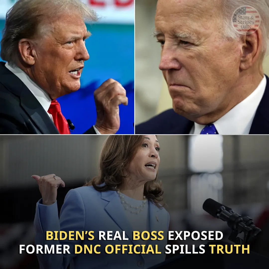 Biden Is Just the Face: Ex-DNC Official Says Real Power Lies Elsewhere
