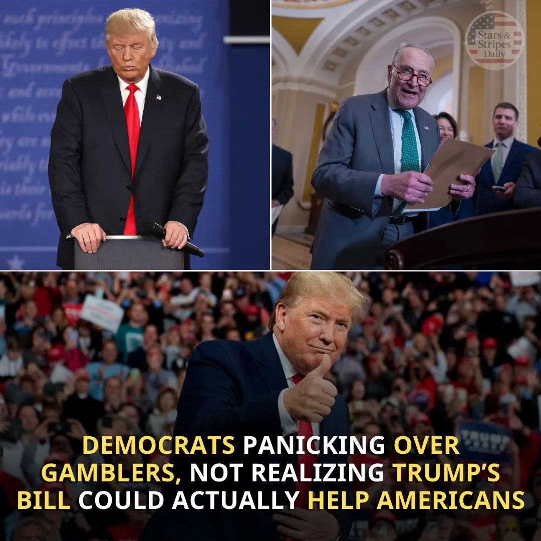 Democrats Fear Trump's Megabill: More Concerned About Gamblers Going to the Black Market Than Tax Relief for Citizens