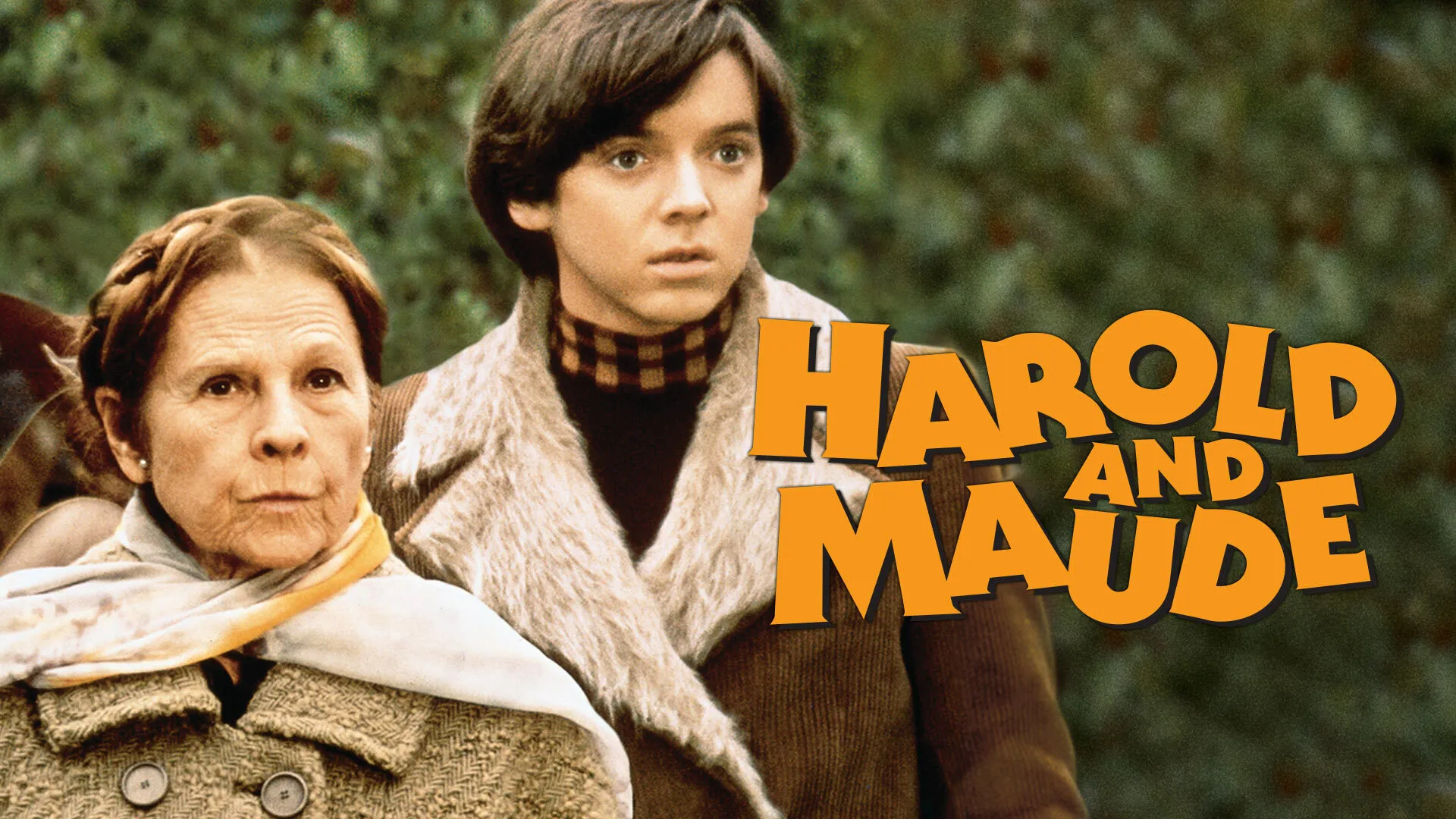 Harold and Maude