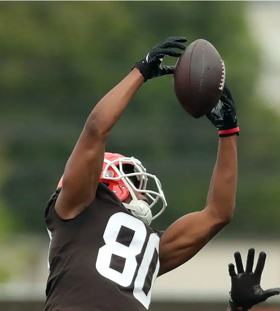 Cleveland Browns Wide Receiver Lands Surprising Outlook