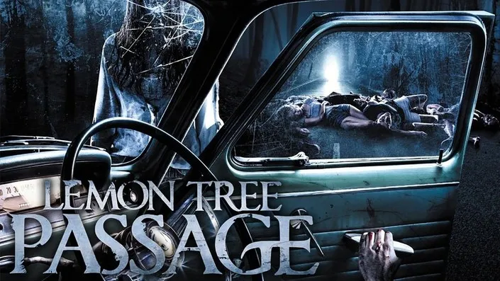 Lemon Tree Passage (2014)