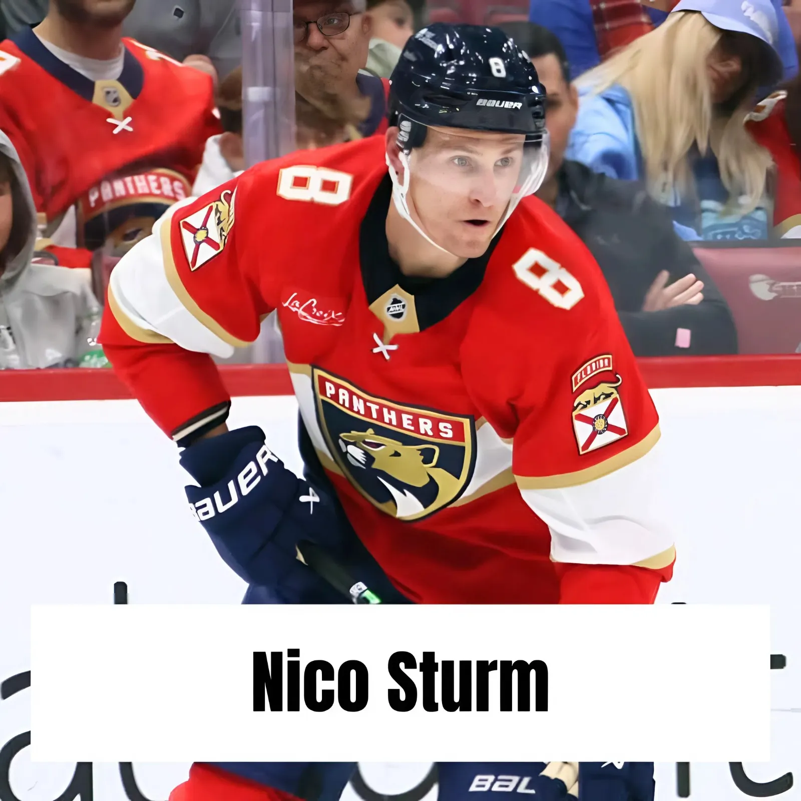 Minnesota Wild Free Agent Target: Nico Sturm