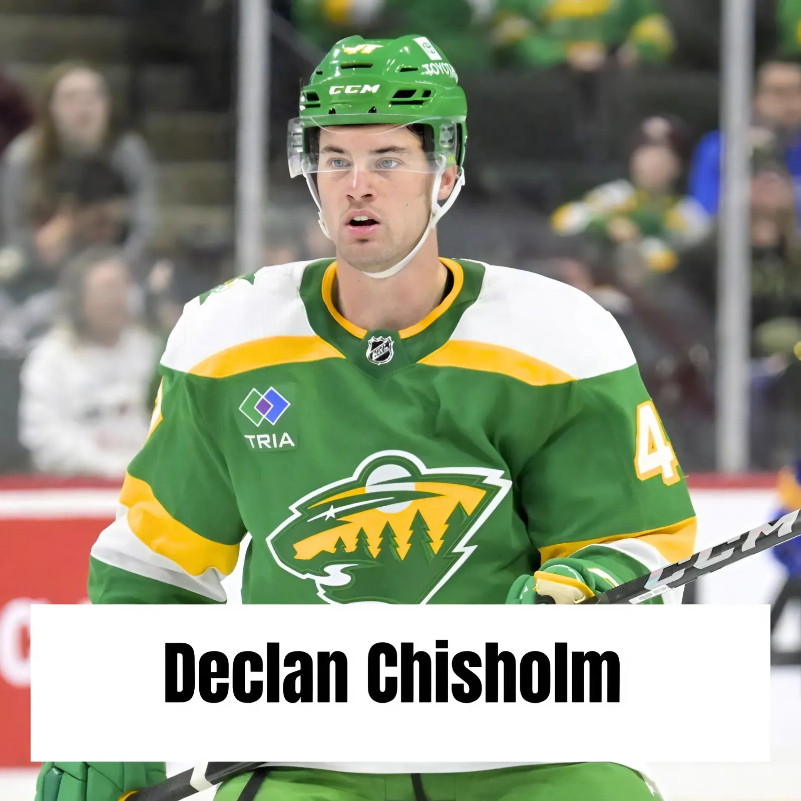Former Wild Defenseman Signs Two-Year Contract With Washington