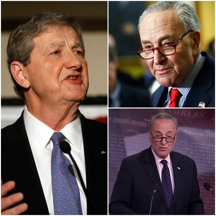 Chuck Schumer Caught in a MASSIVE Lie on Live TV