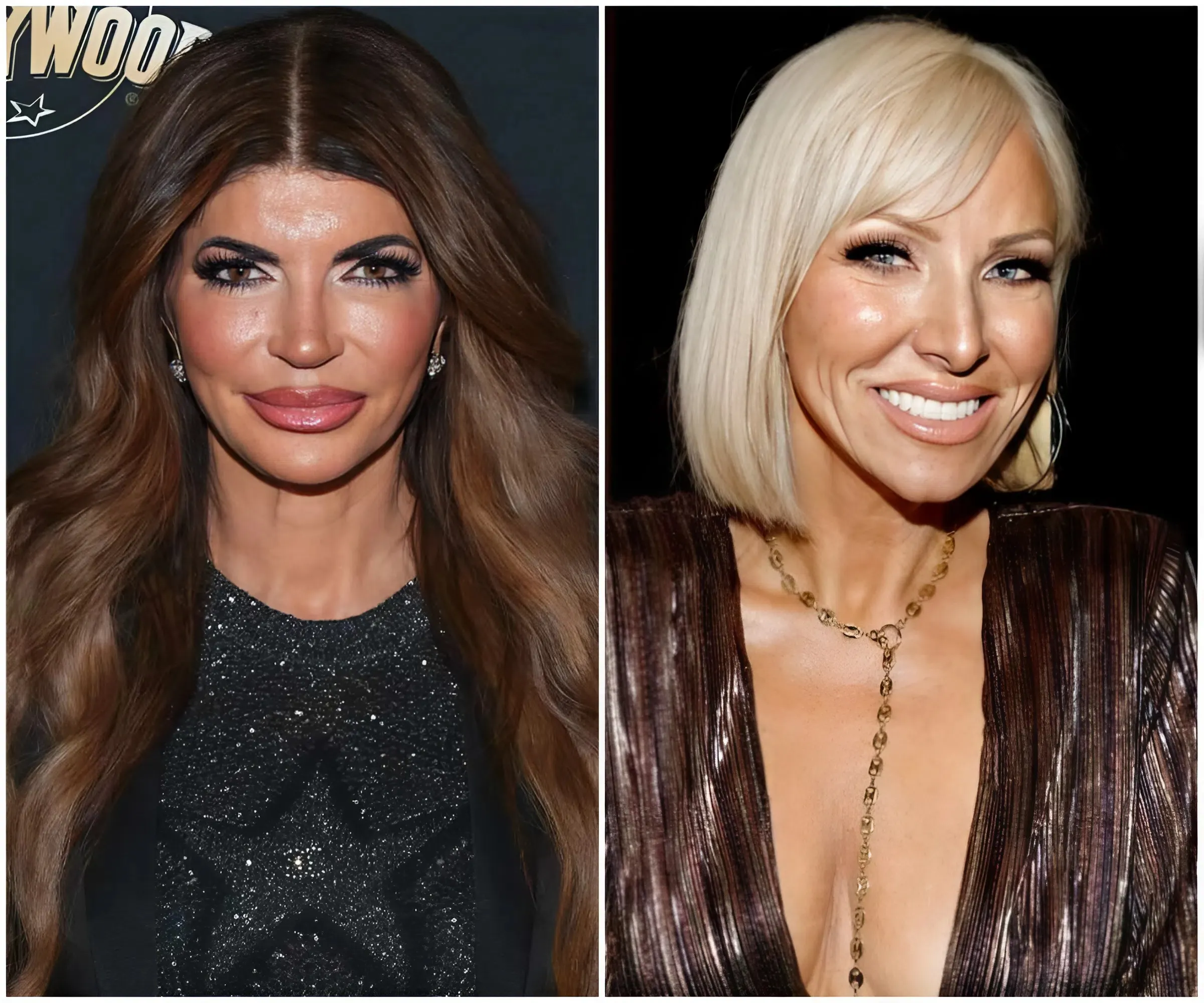 "Teresa Giudice Shocks RHONJ When Accusing Co-Star Of Creating Fake Transcripts To Harm Family Reputation And Daughter Gia Giudice!"