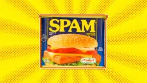 F. What Is SPAM and What Does SPAM Stand For?