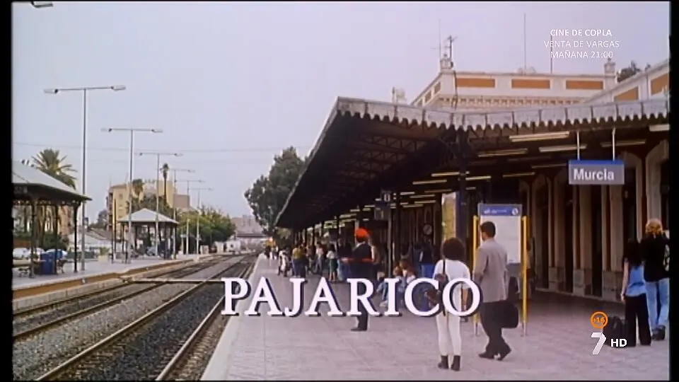 Pajarico (2018) – A Journey Grounded in Love and Cultural Roots