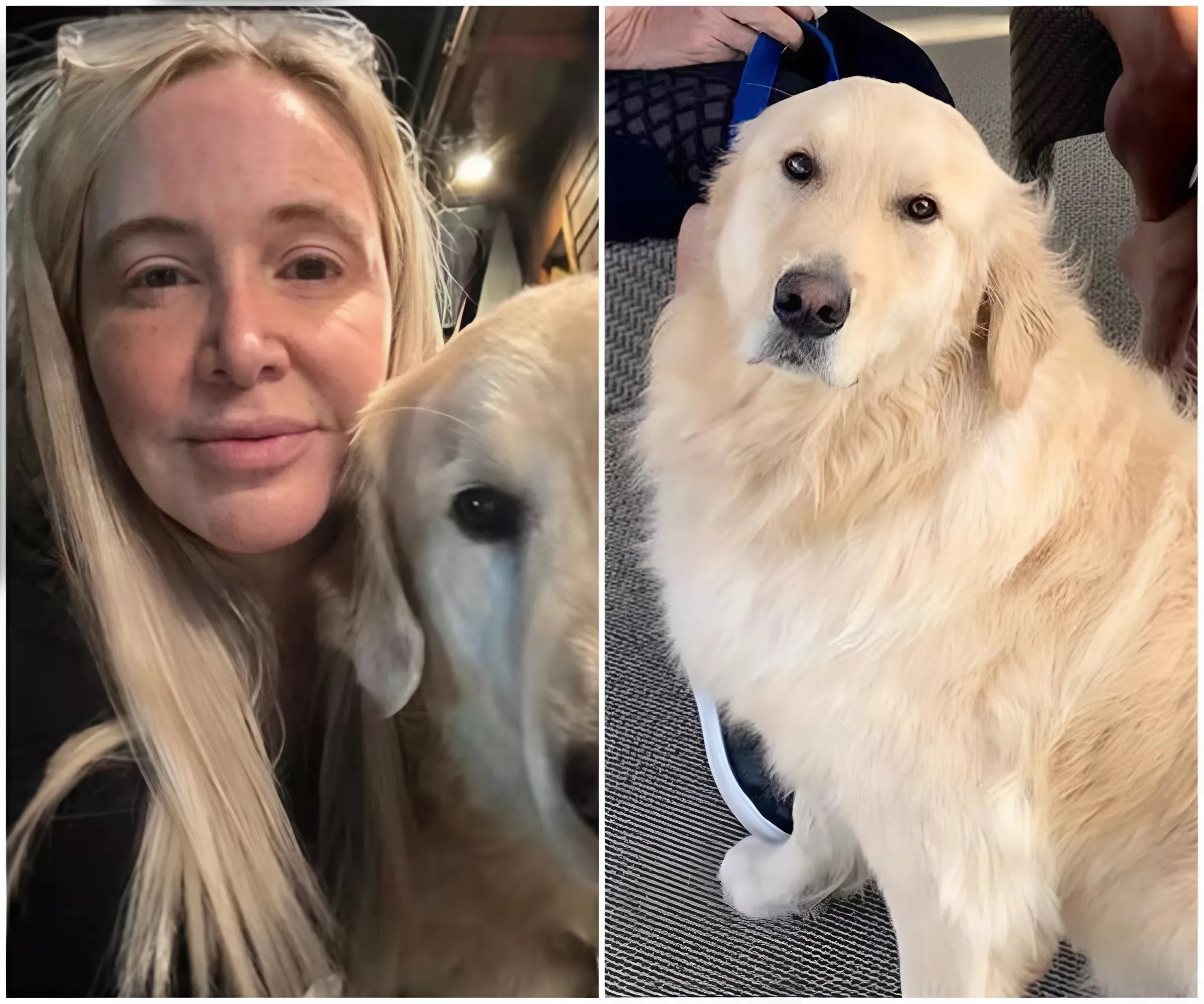#BreakingNews Shannon Beador Heartbroken 💔 Desperate Prayer for Beloved Dog of Just Over a Year Between Life and Death 🙏
