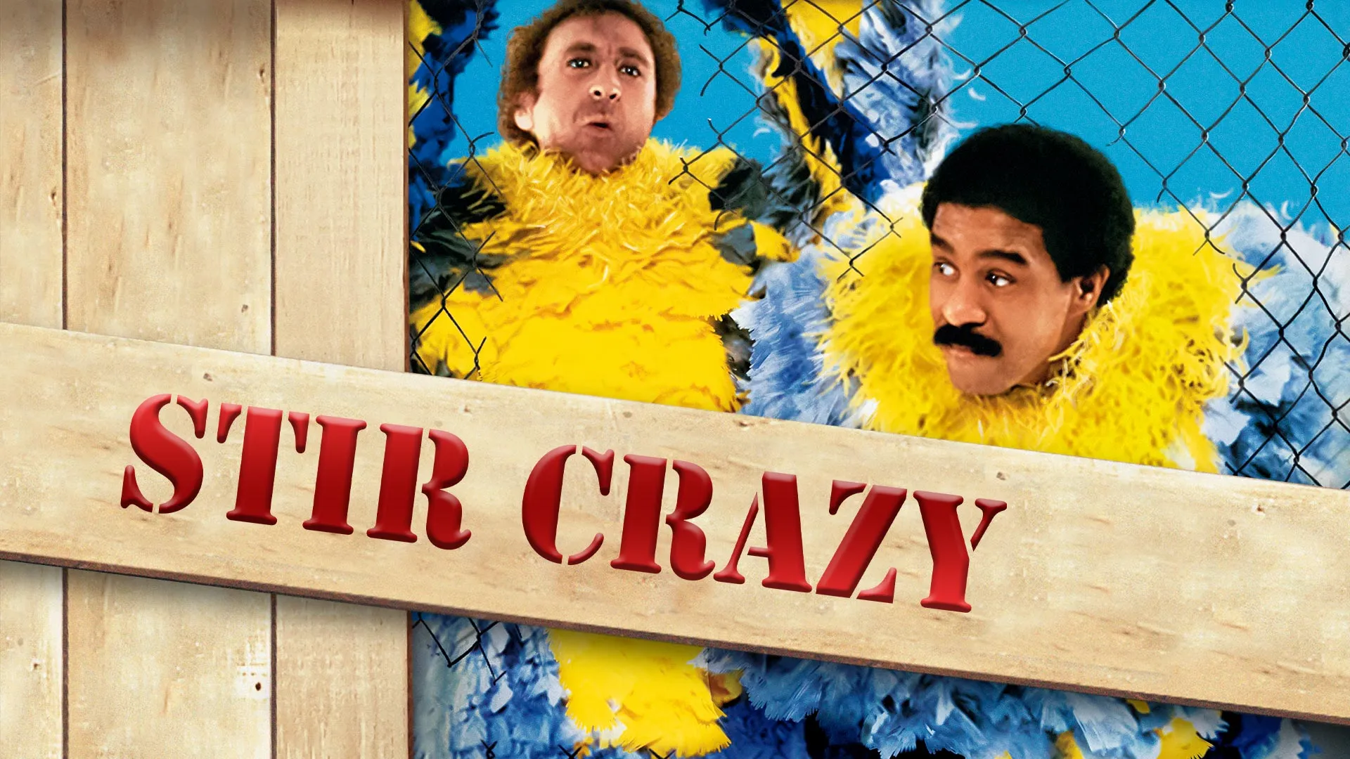 Stir Crazy (1980) – Laughter Escapes Behind Bars