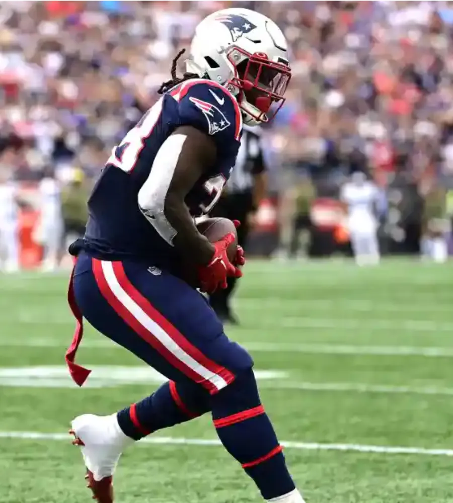 Patriots Veteran Tipped to Be Among ‘2025’s Top Touchdown Vultures’