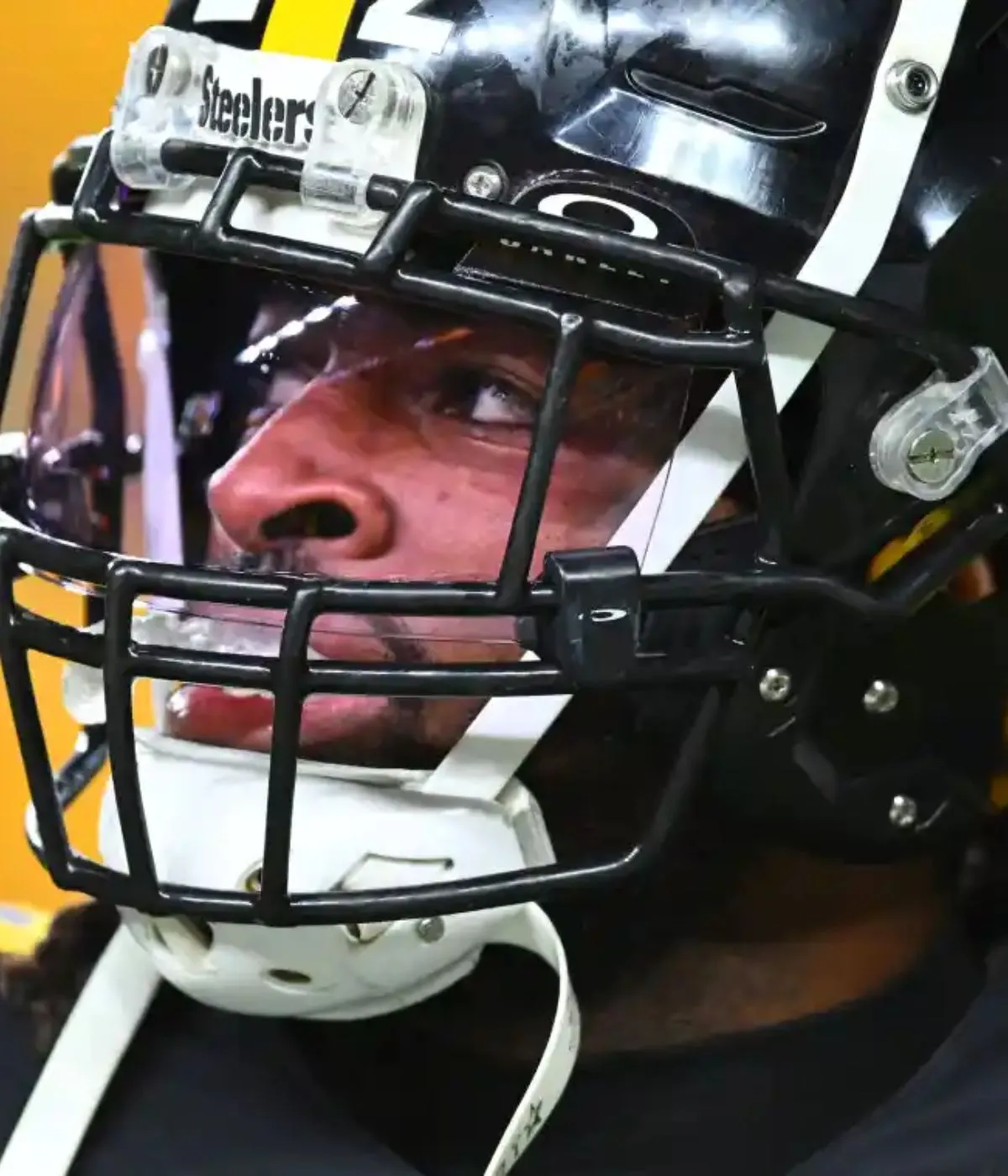 Steelers Departure Catches Major Stray During Offseason Breakdown