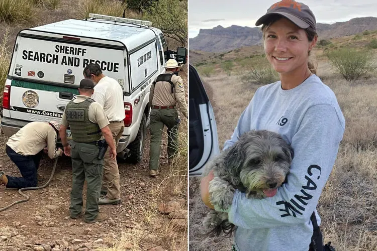 Dog Stays by Dead Owner's Side for Days in the Arizona Wilderness Before Getting Rescued