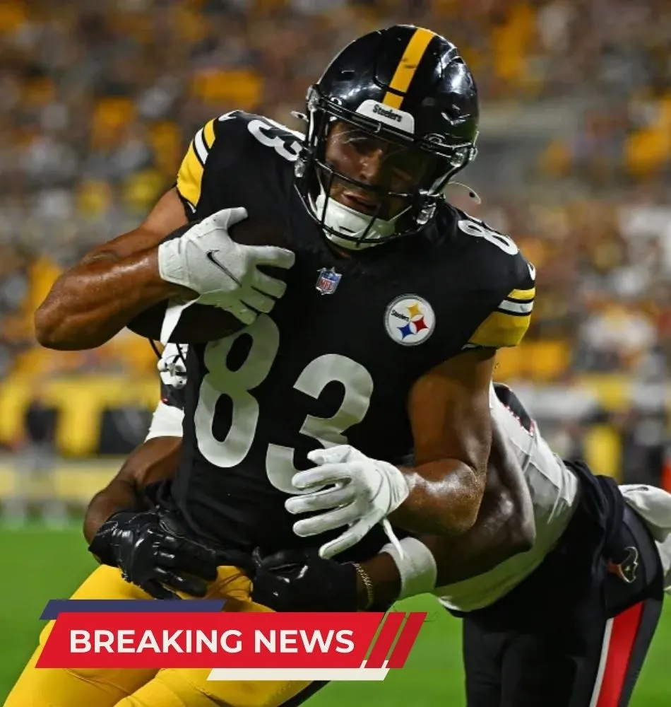Steelers Departure Catches Major Stray During Offseason Breakdown