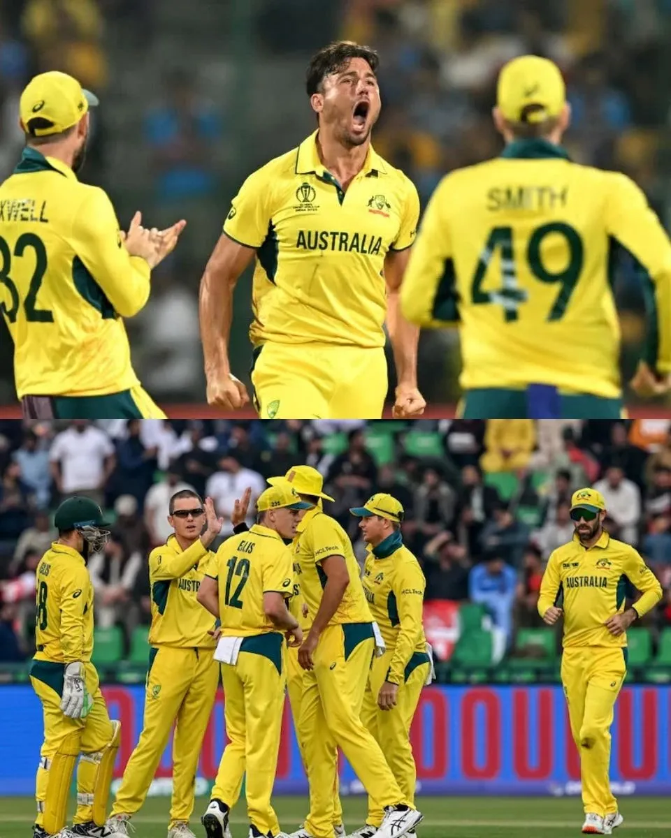 "Not Too Sure": Australia All-Rounder On Plans Of ODI Return Despite Glenn Maxwell, Marcus Stoinis Retirement