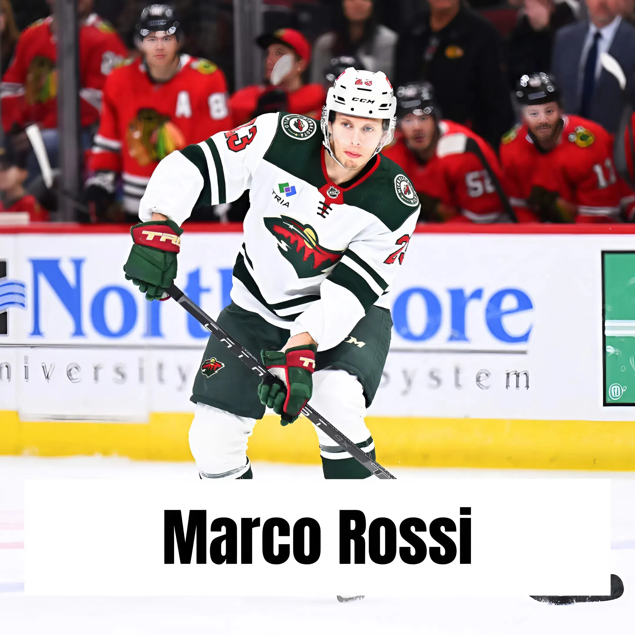 The Mikael Granlund Contract Should Have Ended the Marco Rossi Debate